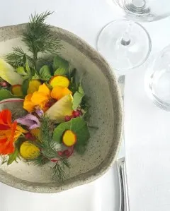 Food 4