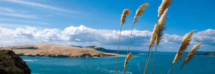 destinations-hokianga.jpg