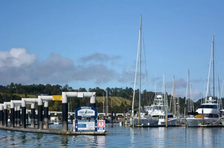 Opua Marina.jpg