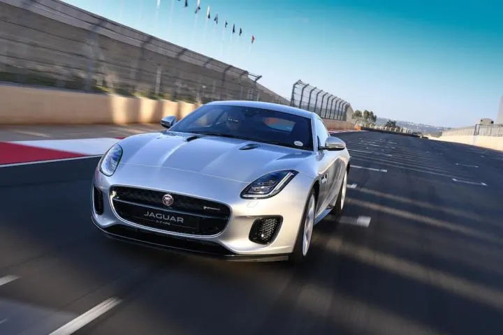 Jaguar Charleen.jpg