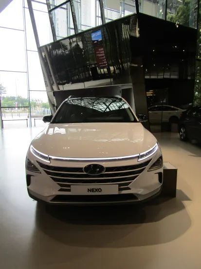 Nexo (2).JPG